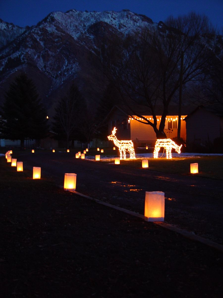Luminaires in front of a lit deer display and mountains