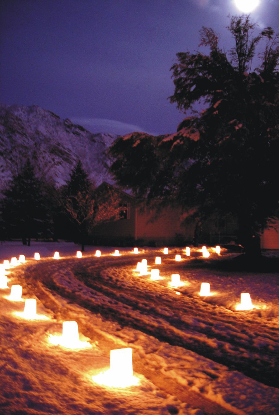 Luminaires glowing along a snowy driveway
